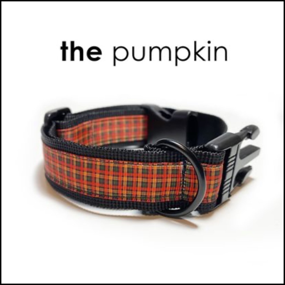Fall Thanksgiving Dog Collar